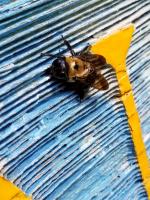 View photo in a new window