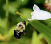 View photo in a new window