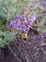 View photo in a new window