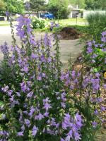 View photo in a new window