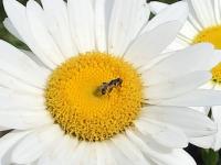 View photo in a new window