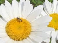 View photo in a new window