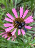 View photo in a new window