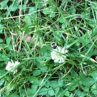 View photo in a new window