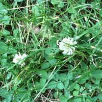 View photo in a new window