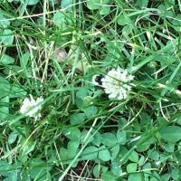 View photo in a new window