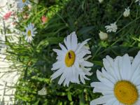 View photo in a new window