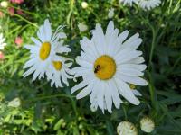 View photo in a new window