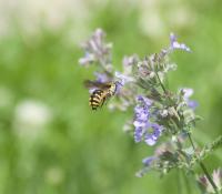 View photo in a new window