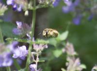 View photo in a new window