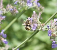 View photo in a new window