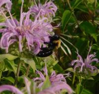 View photo in a new window