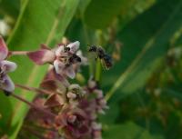 View photo in a new window