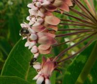 View photo in a new window