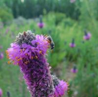 View photo in a new window