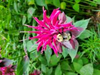 View photo in a new window