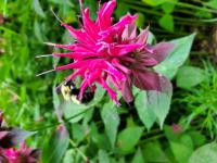 View photo in a new window