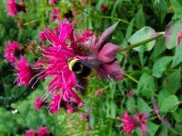 View photo in a new window