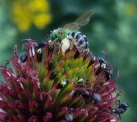 View photo in a new window