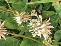 View photo in a new window