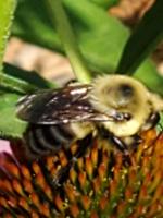 View photo in a new window