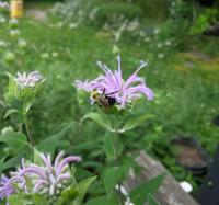 View photo in a new window