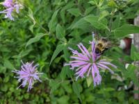 View photo in a new window