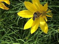 View photo in a new window