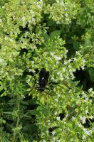 View photo in a new window