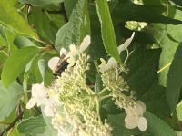 View photo in a new window