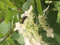 View photo in a new window