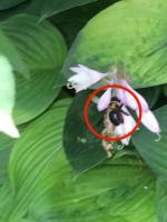 View photo in a new window