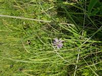 View photo in a new window