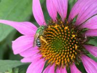 View photo in a new window