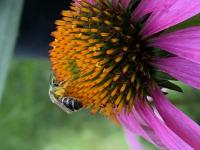 View photo in a new window