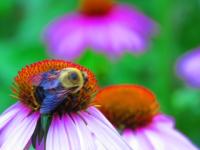 View photo in a new window