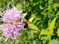 View photo in a new window