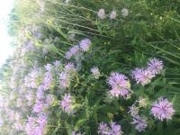 View photo in a new window