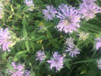 View photo in a new window