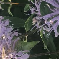 View photo in a new window