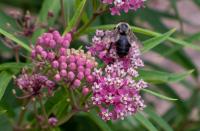 View photo in a new window