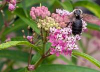 View photo in a new window