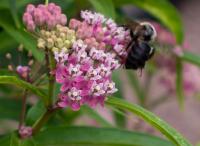 View photo in a new window