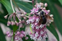 View photo in a new window