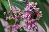 View photo in a new window