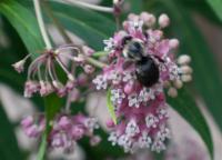 View photo in a new window