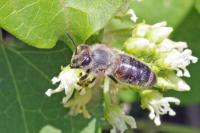 View photo in a new window