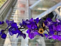 View photo in a new window