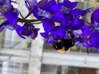 View photo in a new window