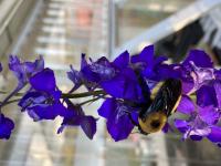 View photo in a new window